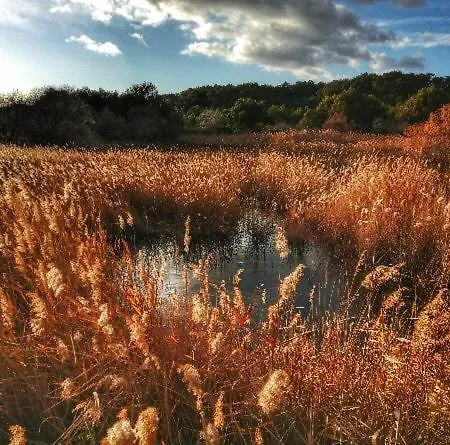 Evana Bed & Breakfast *