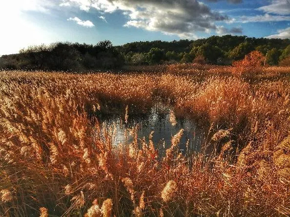 Evana Bed and Breakfast *